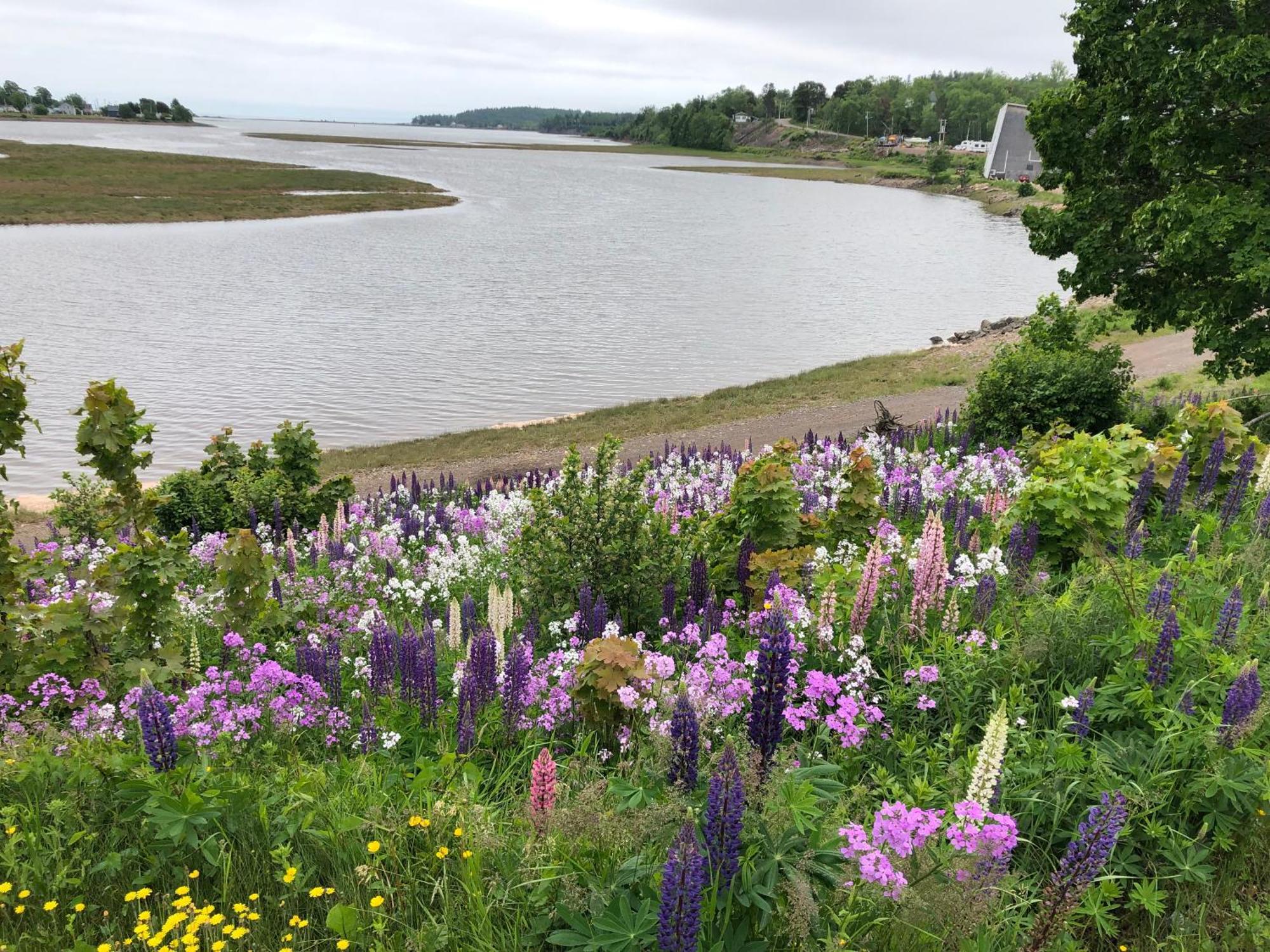 Pleasant Street Inn Parrsboro Eksteriør bilde